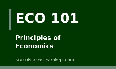 Principles of Economics ECO101
